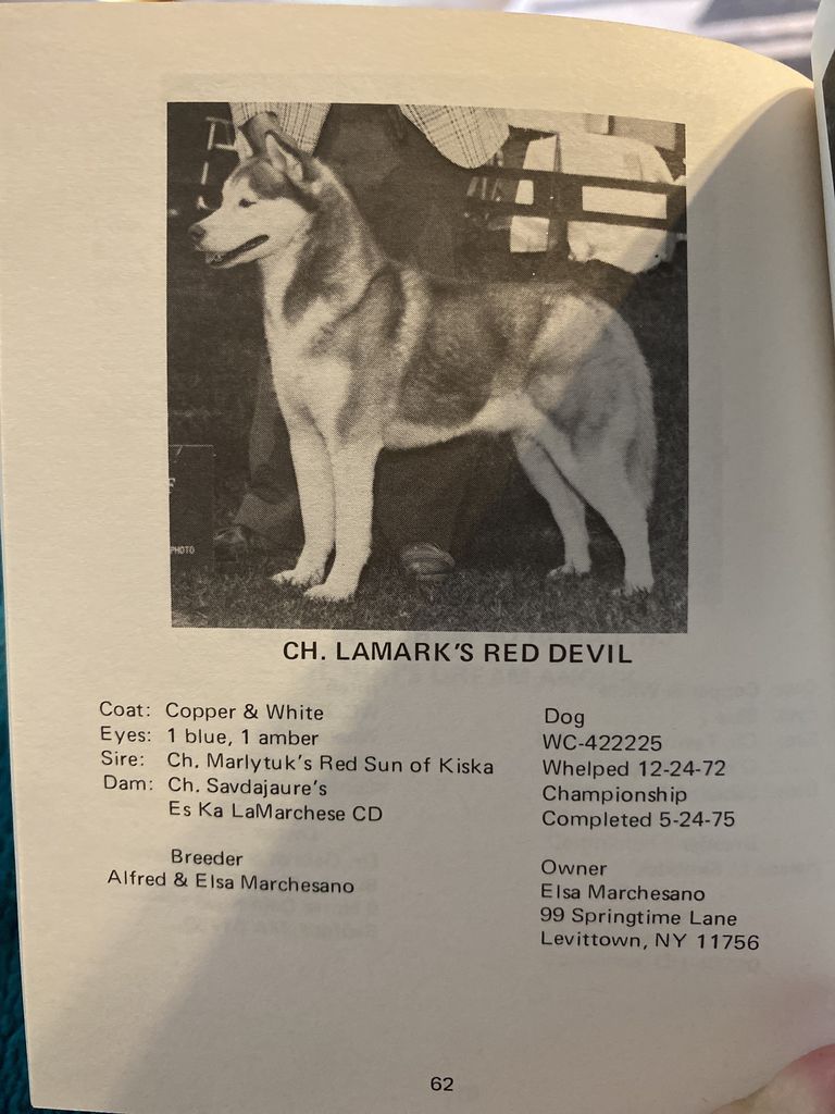 Photo of Lamark’s Red Devil
