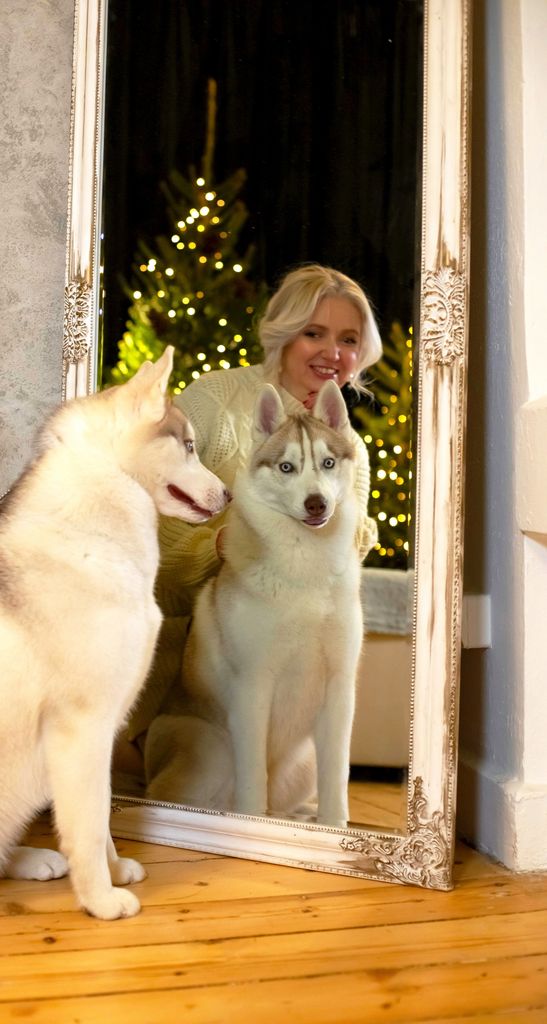 Photo of ARCTIC CHAMPIONS ELSA GOLDEN ASTORIA