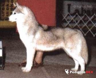 Photo of Innisfree Hunt For Silver