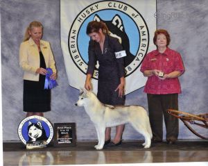 Photo of Trillium Blue’s Words Of Luv