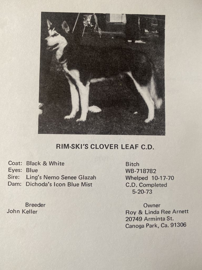 Photo of Rim-Ski’s Clover Leaf