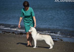 Photo of Atlanterra Bad Baby