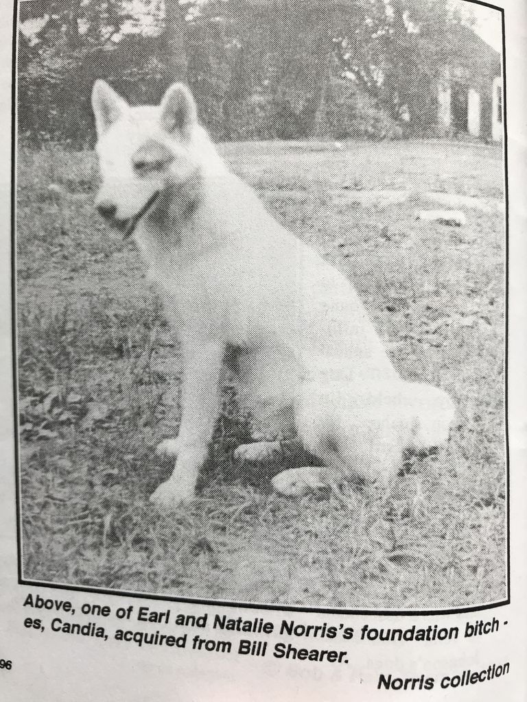 Photo of Candia