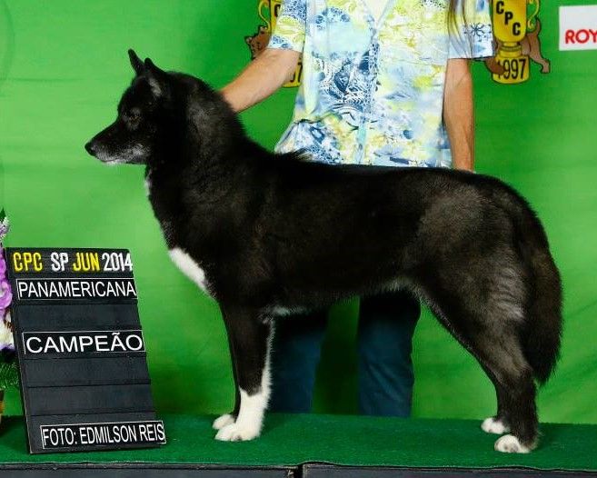 Photo of Aoi’s Kasumi