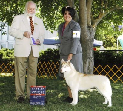 Photo of HuskerDus All That Jazz