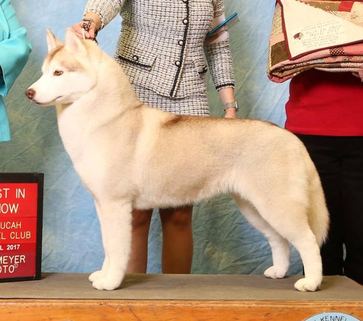 Photo of Nanook’s This Girl Is On Fire
