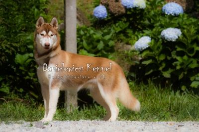 Photo of Loba do Danielewicz