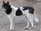 Photo of Smart Of Jedeye