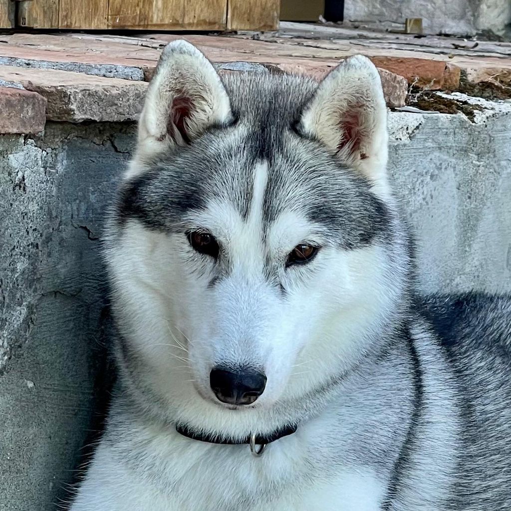 Photo of Xena Warrior Princess