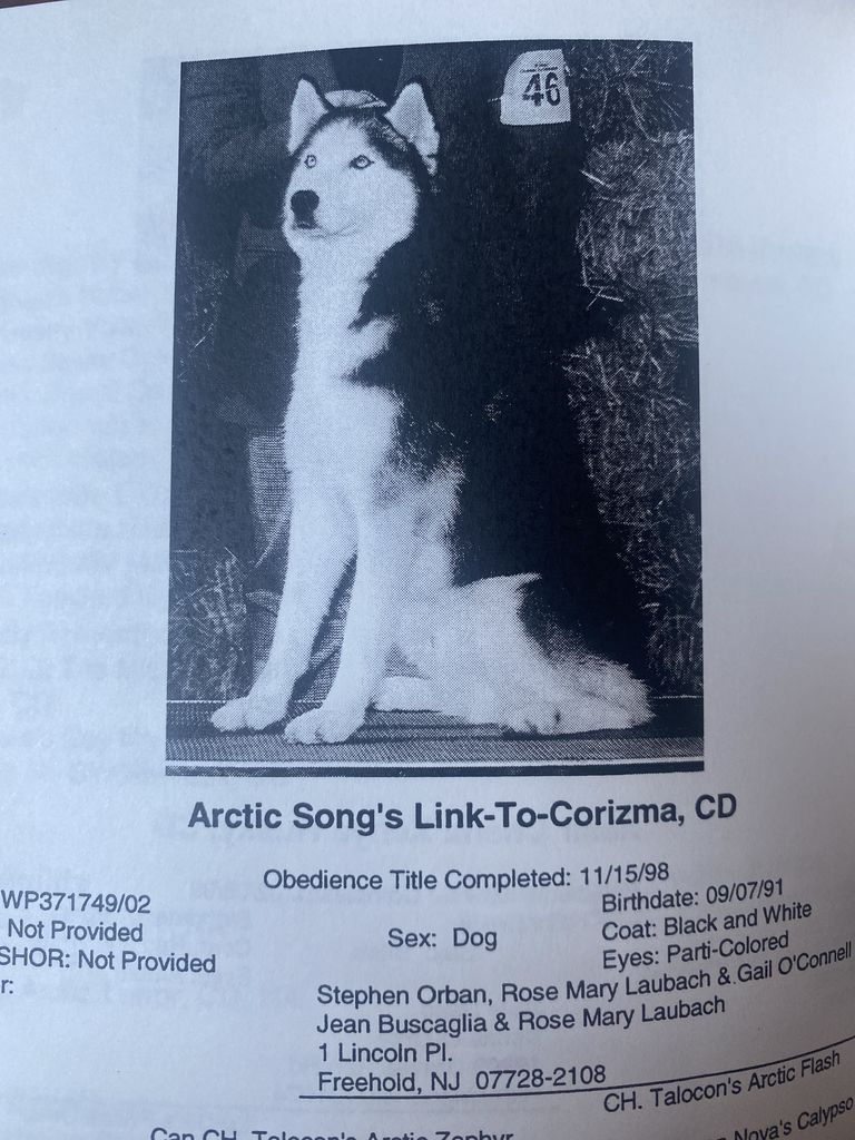 Photo of Arctic Song’s Link-To-Corizma