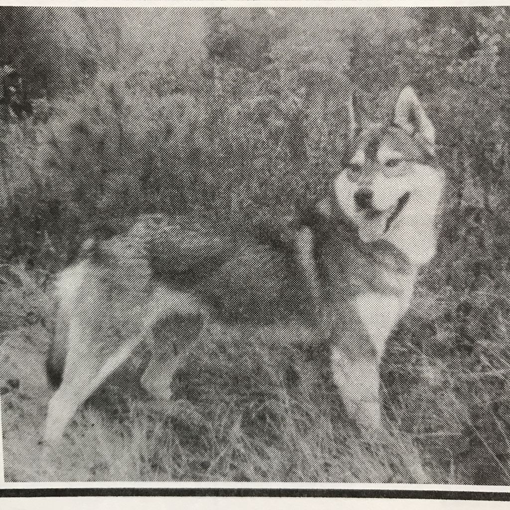 Photo of Tadluk’s Balashika
