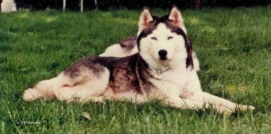 Photo of Tai Wind's Xanadu