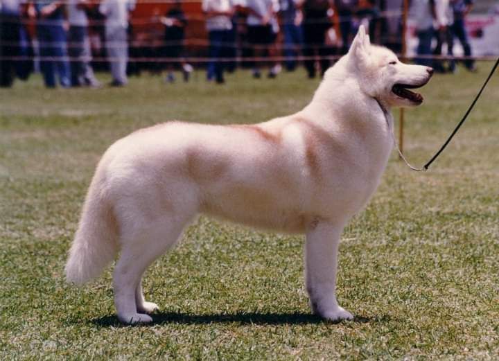 Photo of Paulete del Vichuquen