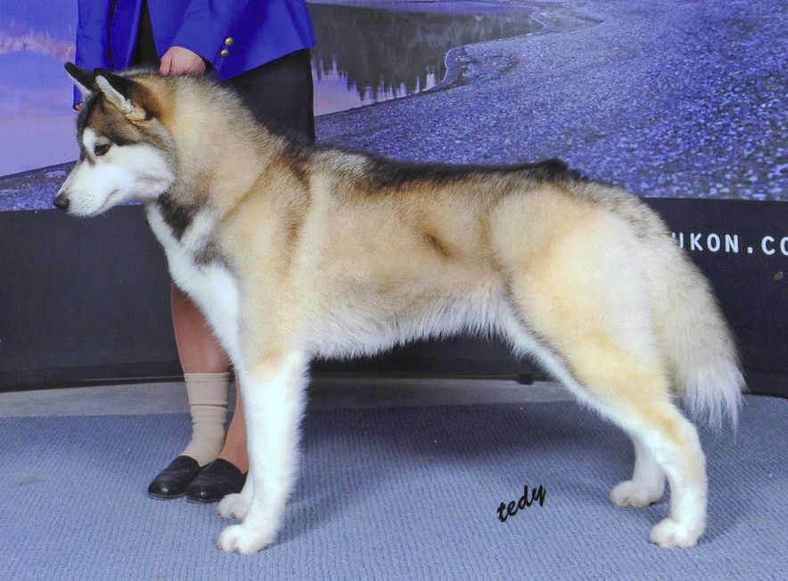 Photo of HuskerDu’s Co-Conspirator At TouchMeNot