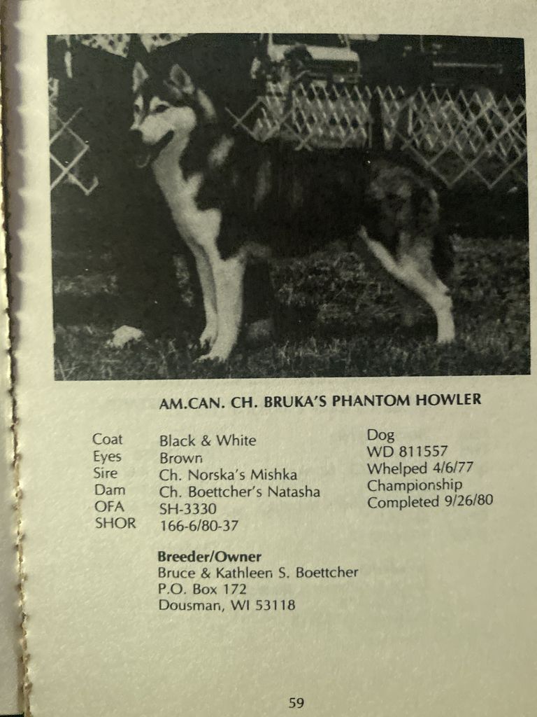 Photo of Bruka’s Phantom Howler