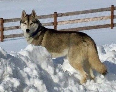Photo of Kadian’s Shades of Grey