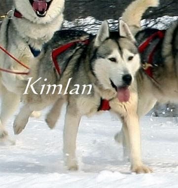 Photo of Kimlan’s May Snowstorm