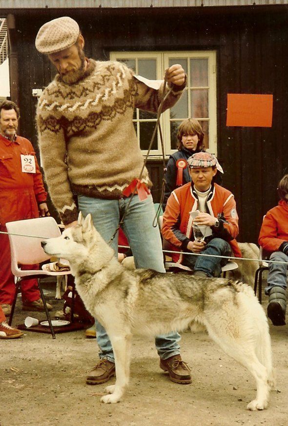 Photo of Tuffy av Vargevass-A