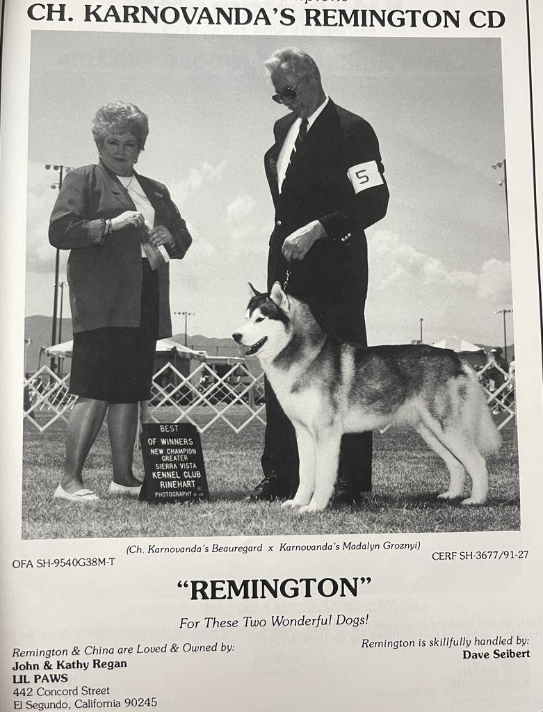 Photo of Karnovanda’s Remington