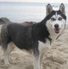 Photo of Kuana