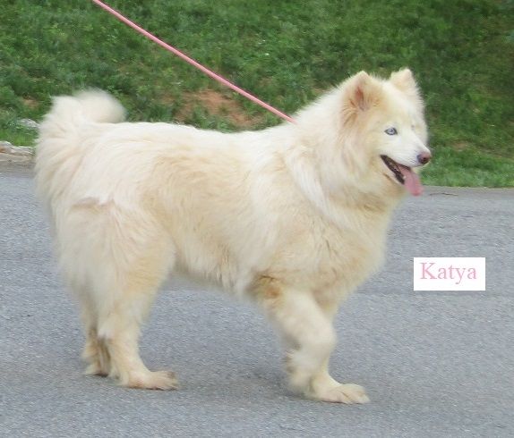 Photo of J & D’s Katya