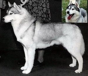 Photo of Karnovanda Born On The Fourth