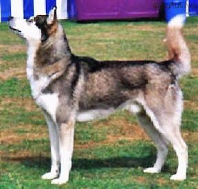 Photo of Trelowen Calan