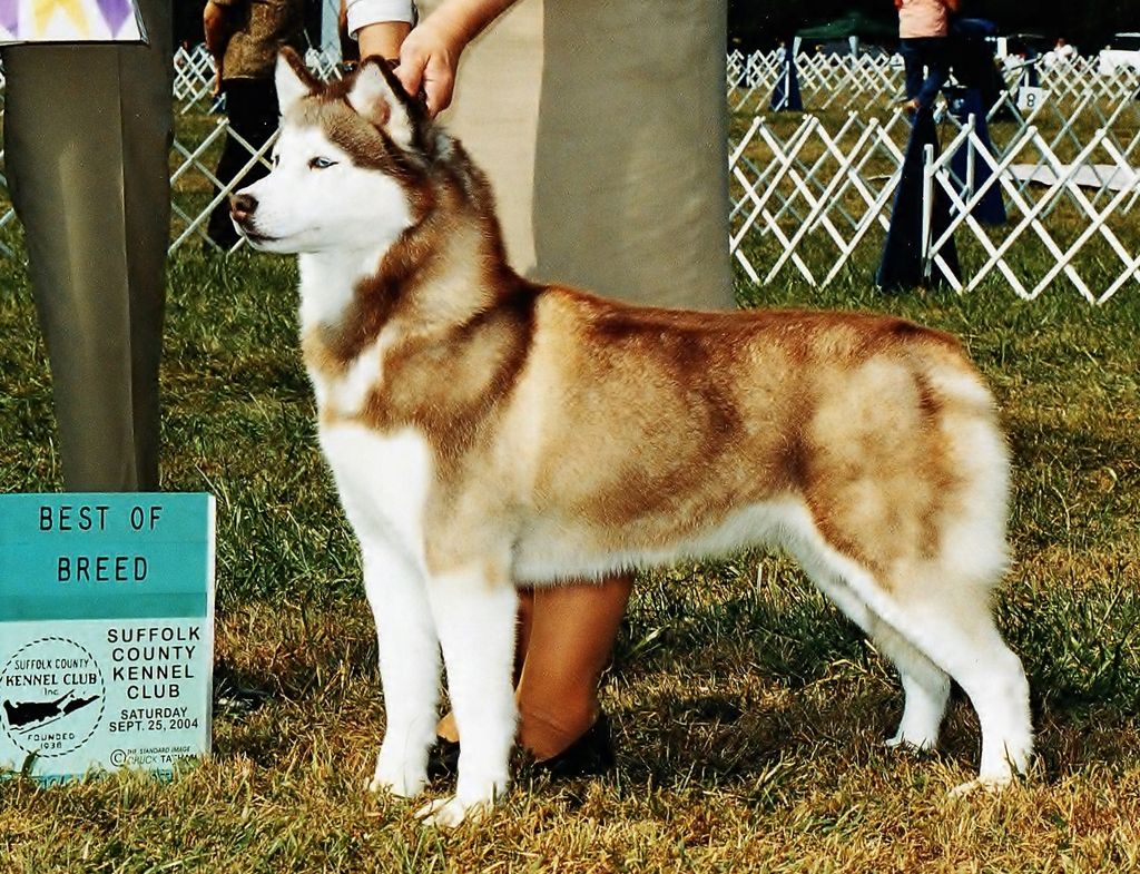 Photo of Talocon’s Arctic Sahti