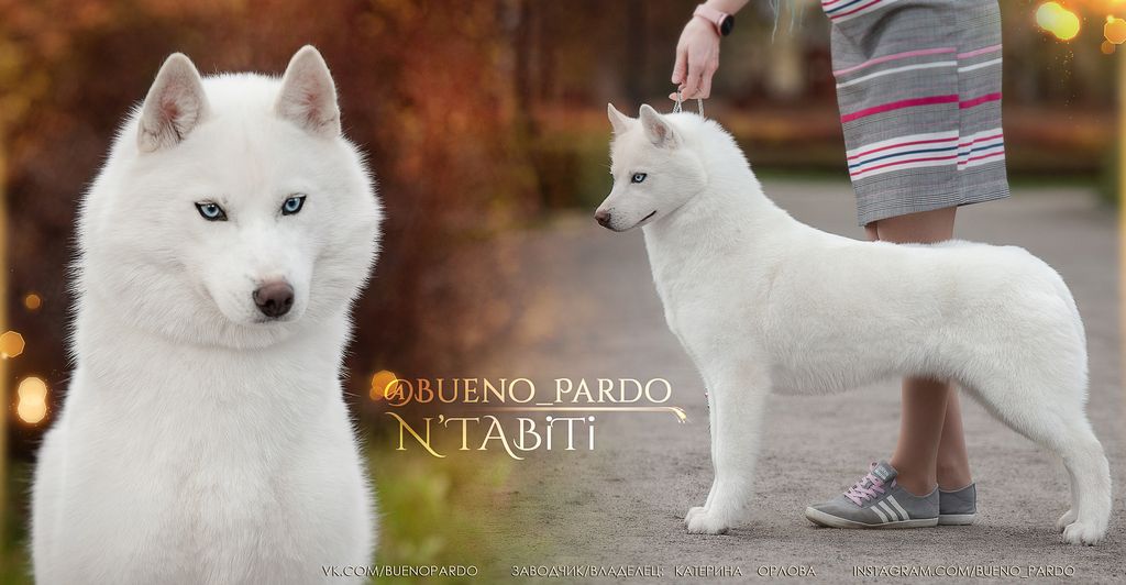 Photo of Bueno Pardo N*Tabiti