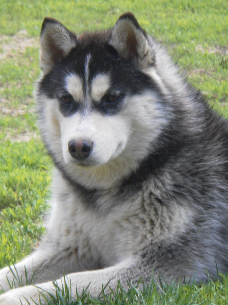 Photo of Rokland Yanessa