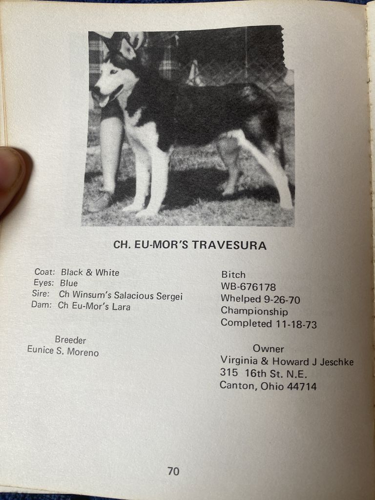 Photo of Eu-Mor’s Travesura