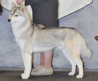 Photo of Kayenta’s Notorious