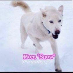Photo of Harrison’s First Winter Snow