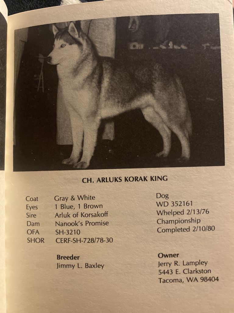 Photo of Arluk’s Korak King