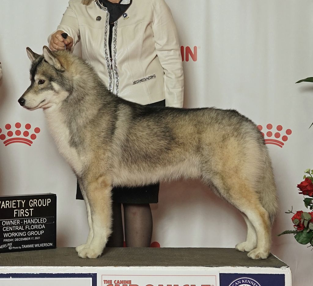 Photo of Bralin’s Wolfman Jack