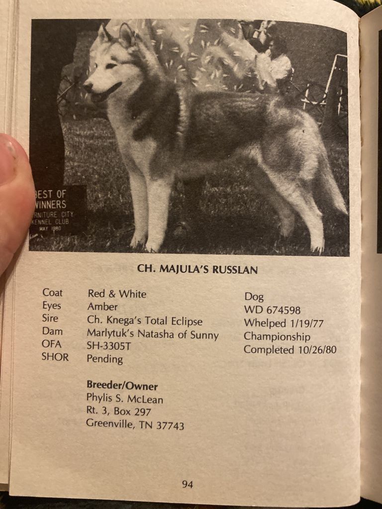 Photo of Majula’s Russlan