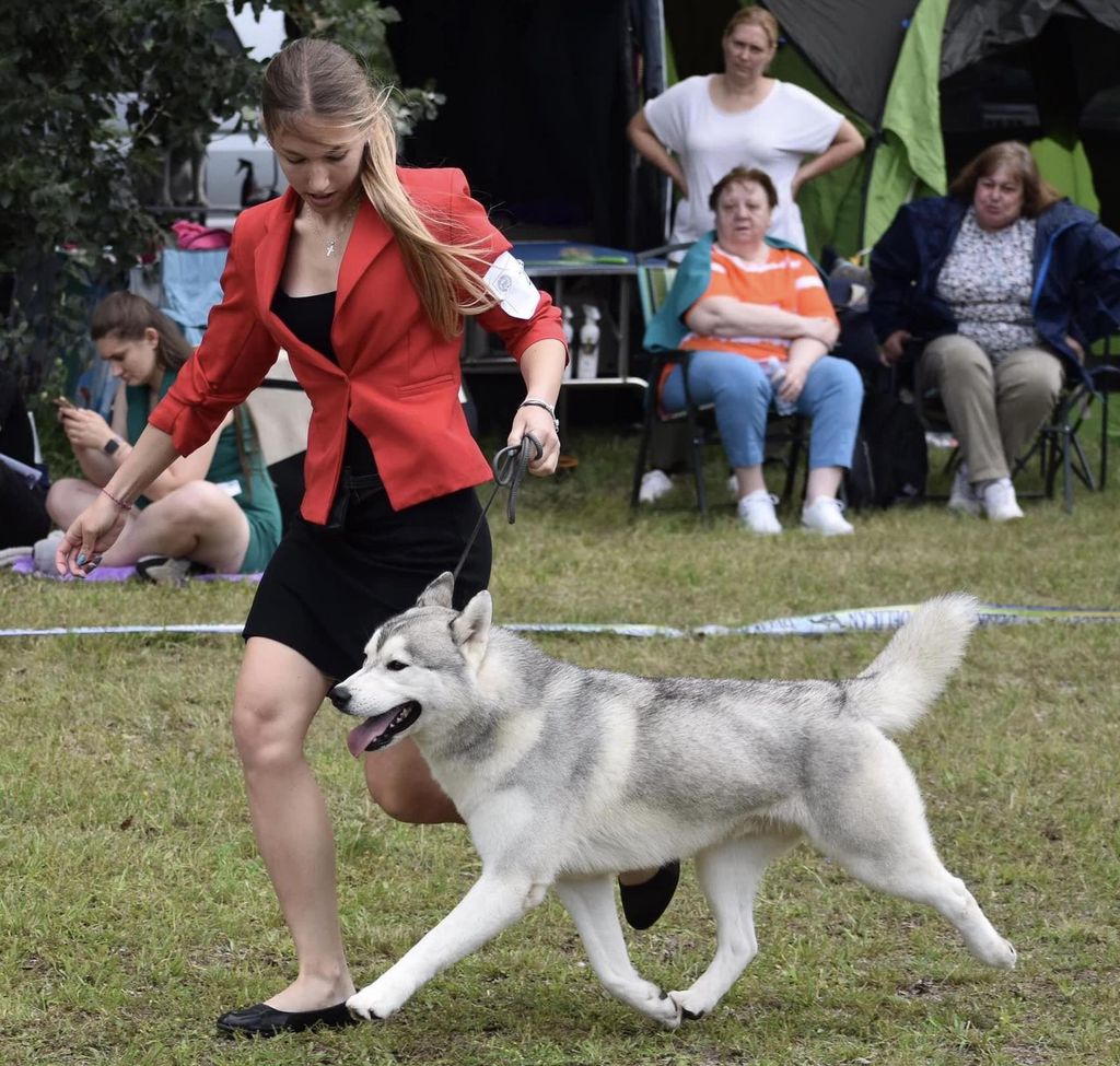 Photo of Snoebear’s Back To The Future At Active Paws
