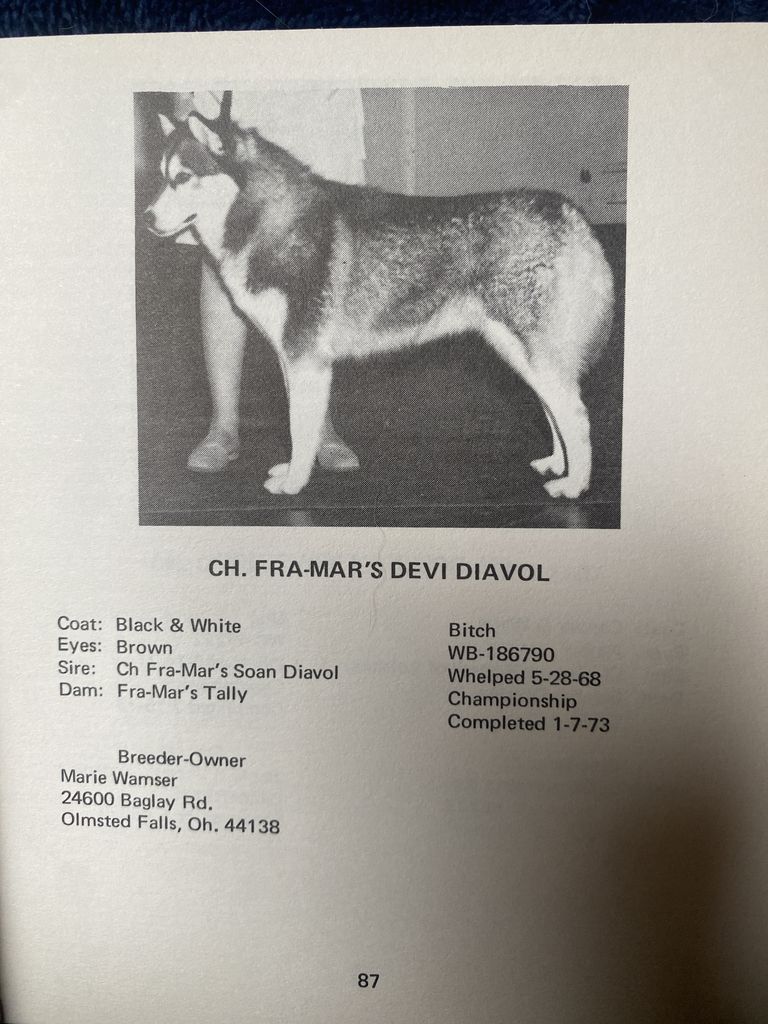 Photo of Fra-Mar’s Devi Diavol