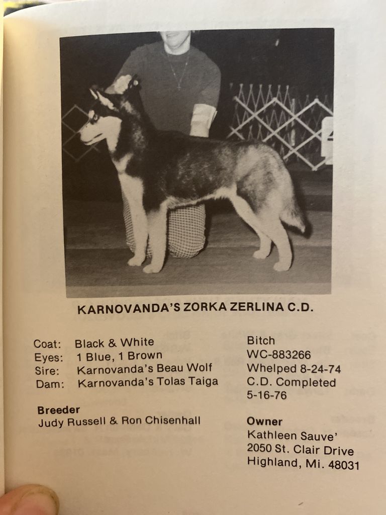 Photo of Karnovanda’s Zorka Zerlina