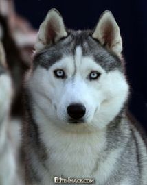 Photo of Wolvereen IL Win Da Lottery