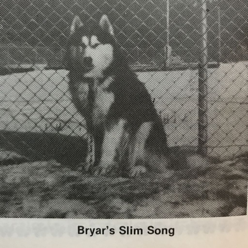 Photo of Bryar’s Slim Song