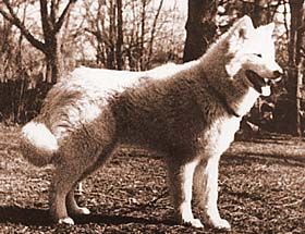 Photo of Jeuahnee of Cold River