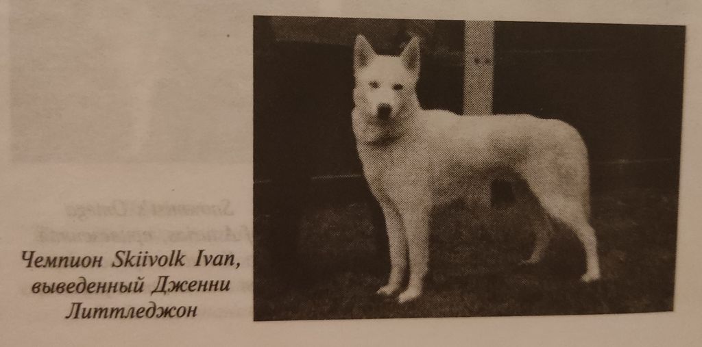 Photo of Skiivolk Ivan
