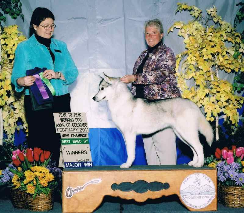 Photo of Sno-Magic’s Northern Serenade