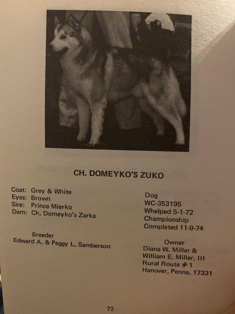 Photo of Domeyko’s Zuko