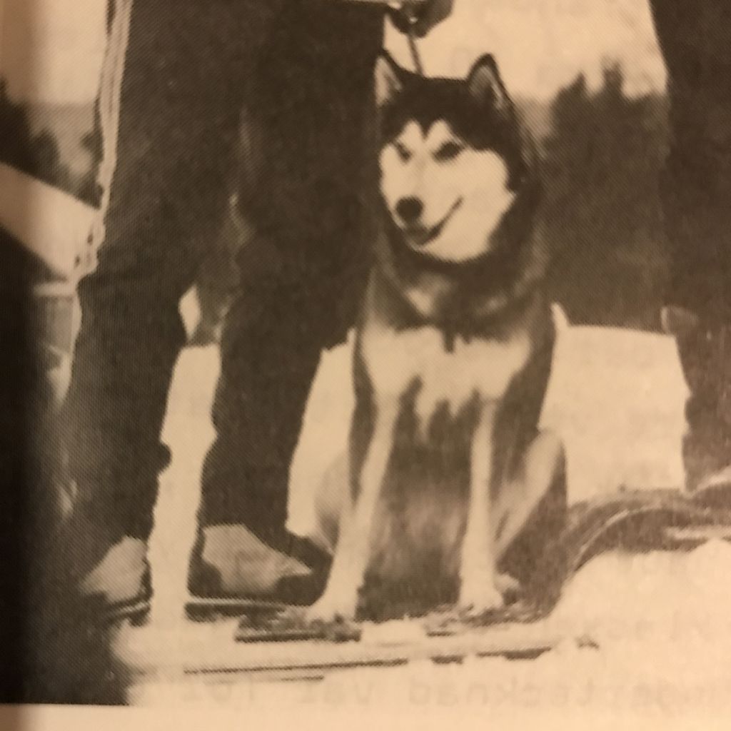 Photo of Kiniano av Vargevass-A