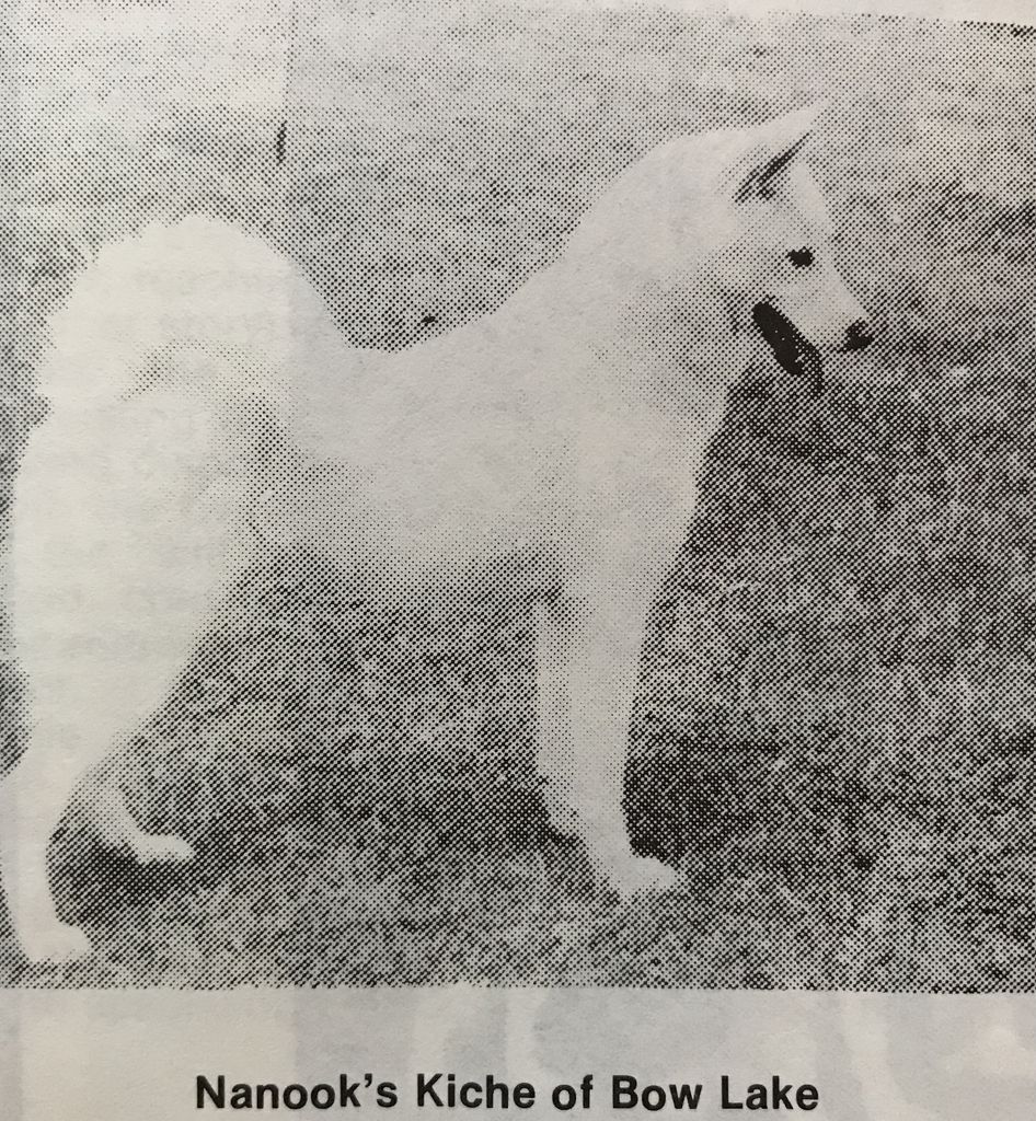 Photo of Nanook’s Kiche of Bow Lake