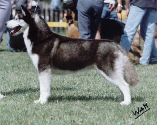 Photo of Winalmik’s She’s So Lovely
