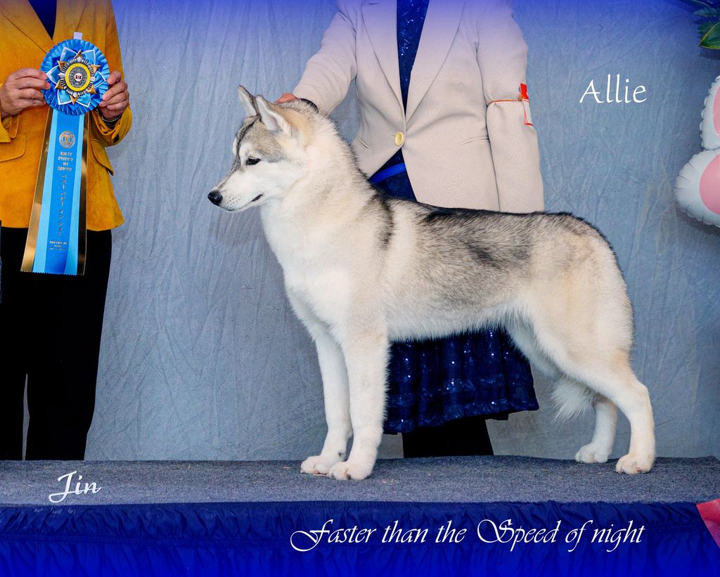 Photo of Aunade Basecamp JP Speed Of Night