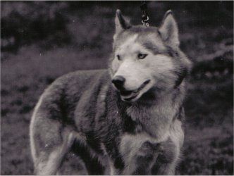 Photo of Dudinka (Sweden)